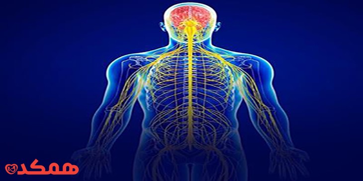 تنفس درمانی | مرکز مشاوره مشاوره
