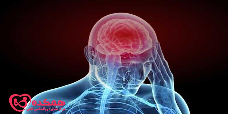 انجام آزمایش های رفتاری