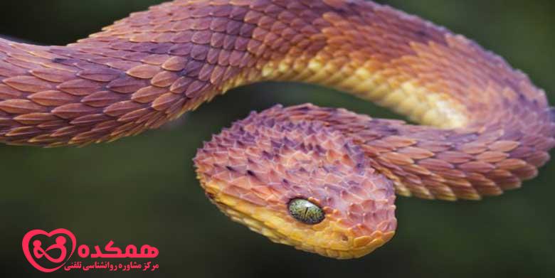 ترس از مارها