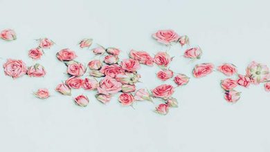 آیا کمال گرایی چیز بدی است؟